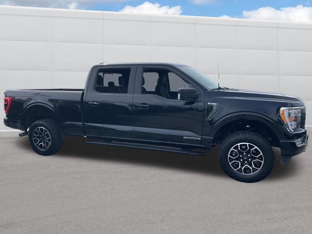Used 2023 Ford F150 XLT w/ Equipment Group 302A High AWD/4WD image 7
