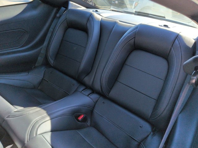 New 2026 Ford Mustang GT Premium w/ Mustang Nite Pony Package RWD image 13