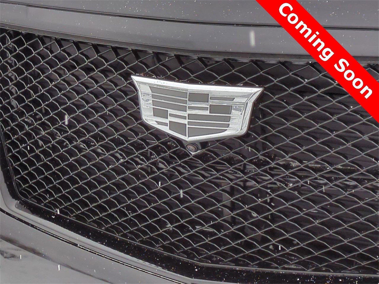 Certified 2024 Cadillac Escalade Sport Platinum w/ LPO, ONYX Package image 12