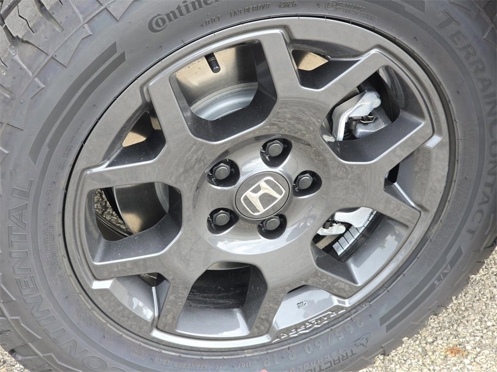 New 2025 Honda Pilot TrailSport image 12