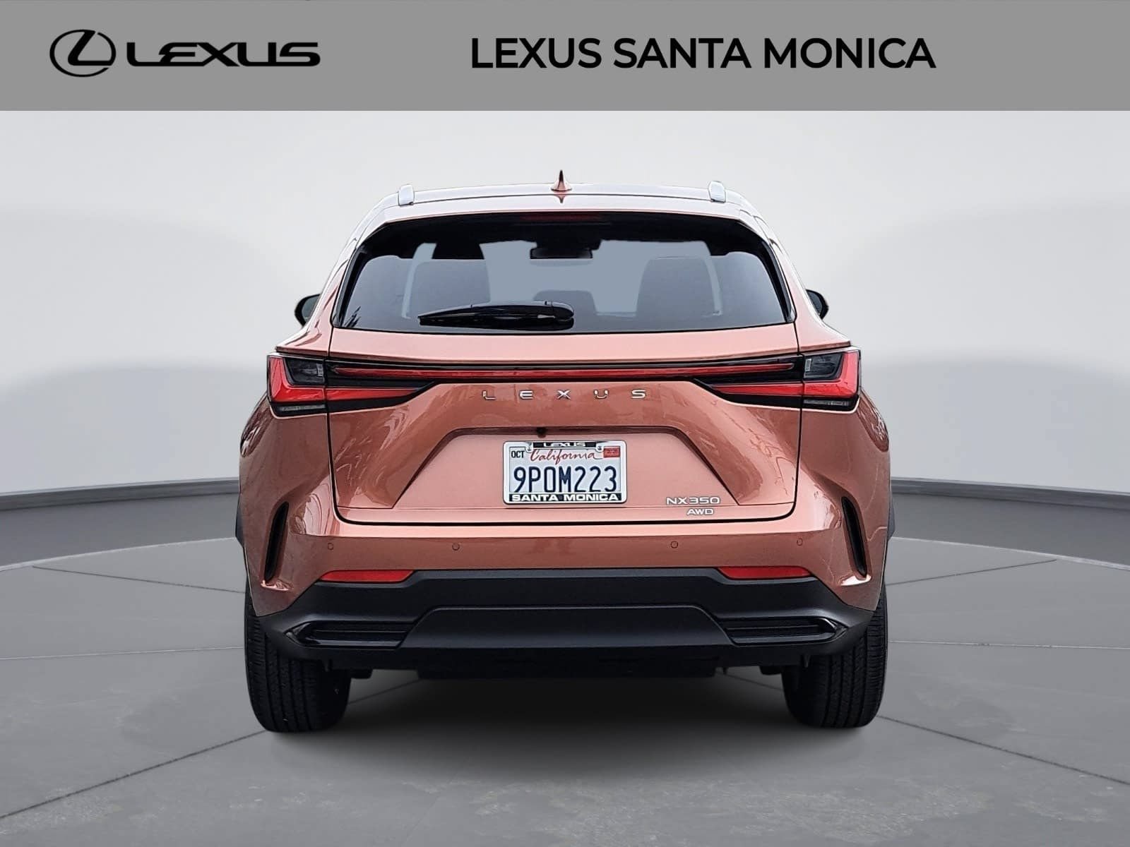 Used 2025 Lexus NX 350 AWD w/ Cold Area Package image 6