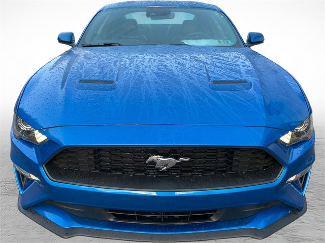 Used 2019 Ford Mustang Premium w/ Equipment Group 201A RWD image 7