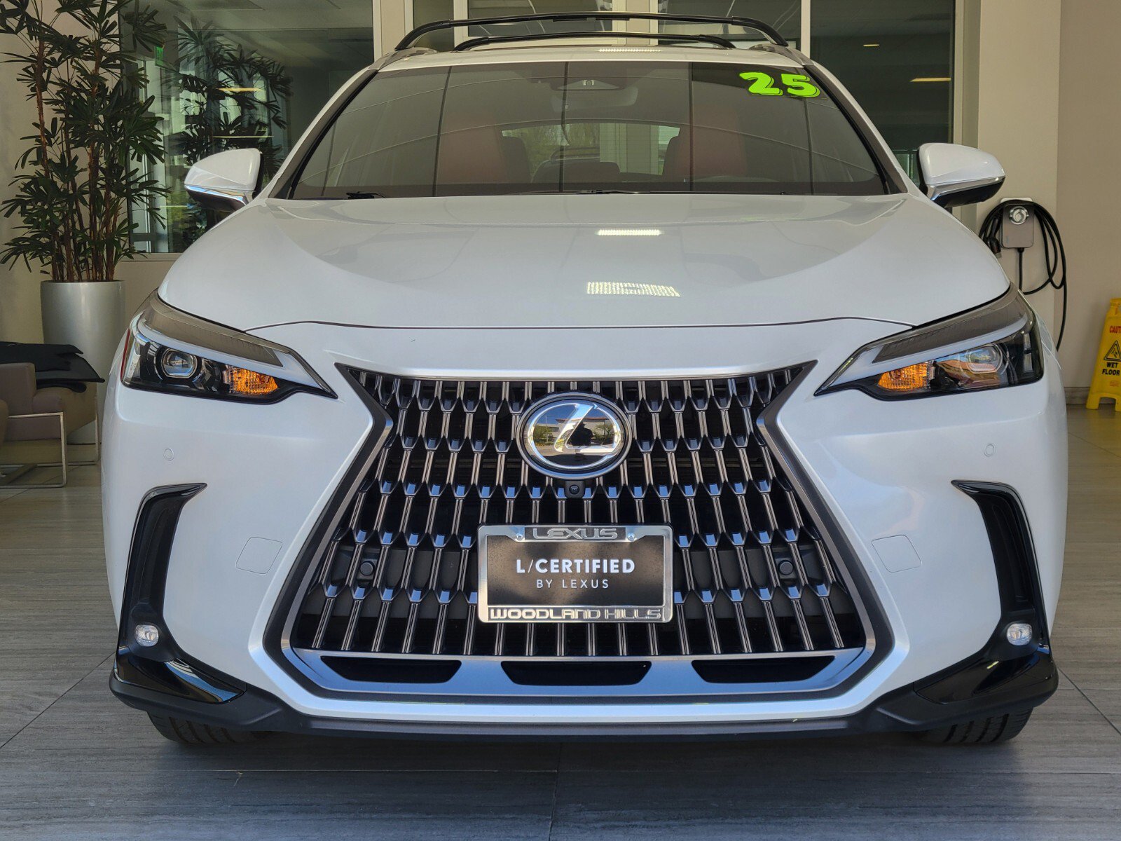 Certified 2025 Lexus NX 350h AWD w/ Cold Area Package image 8