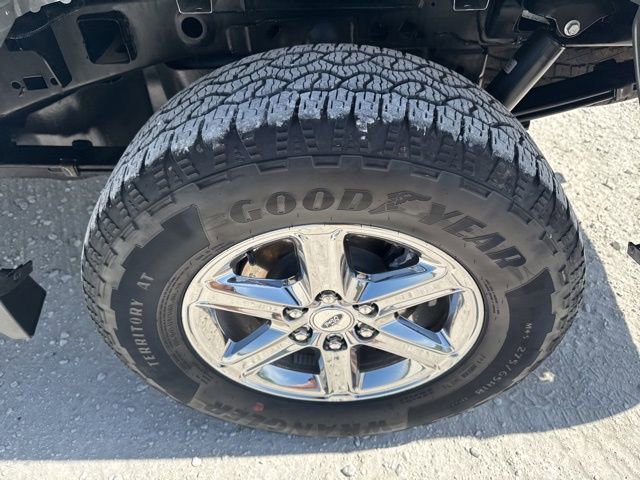 Used 2025 Ford F150 XLT w/ Equipment Group 301A Standard image 14