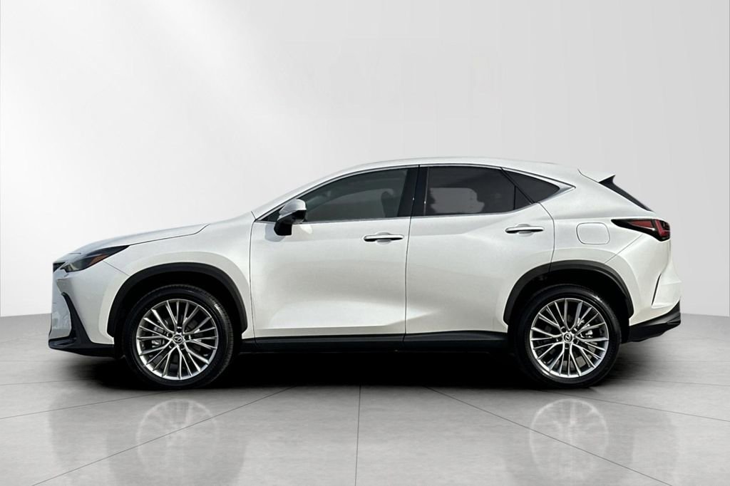 Used 2025 Lexus NX 350 AWD w/ Luxury Package image 3