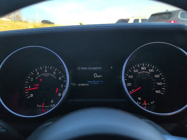 Used 2021 Ford Mustang GT Premium w/ Carbon Sport Interior Package image 4