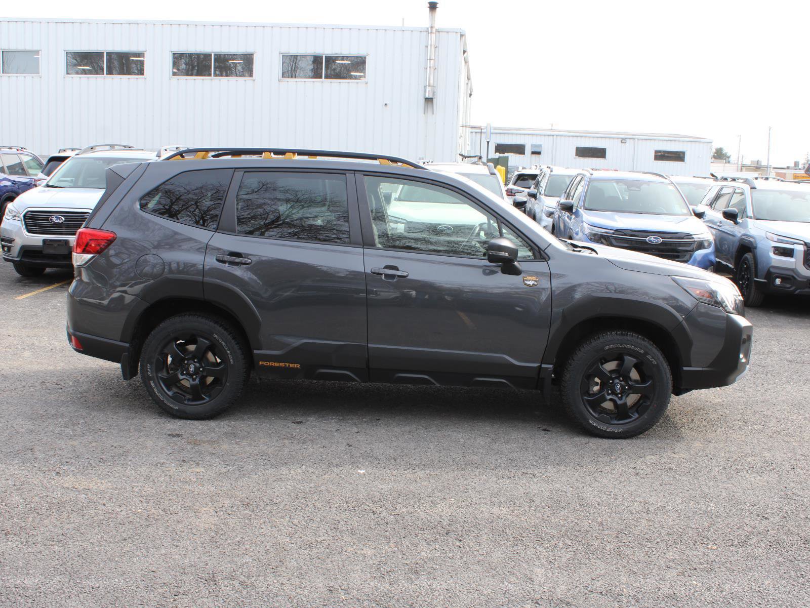 Certified 2023 Subaru Forester Wilderness image 4