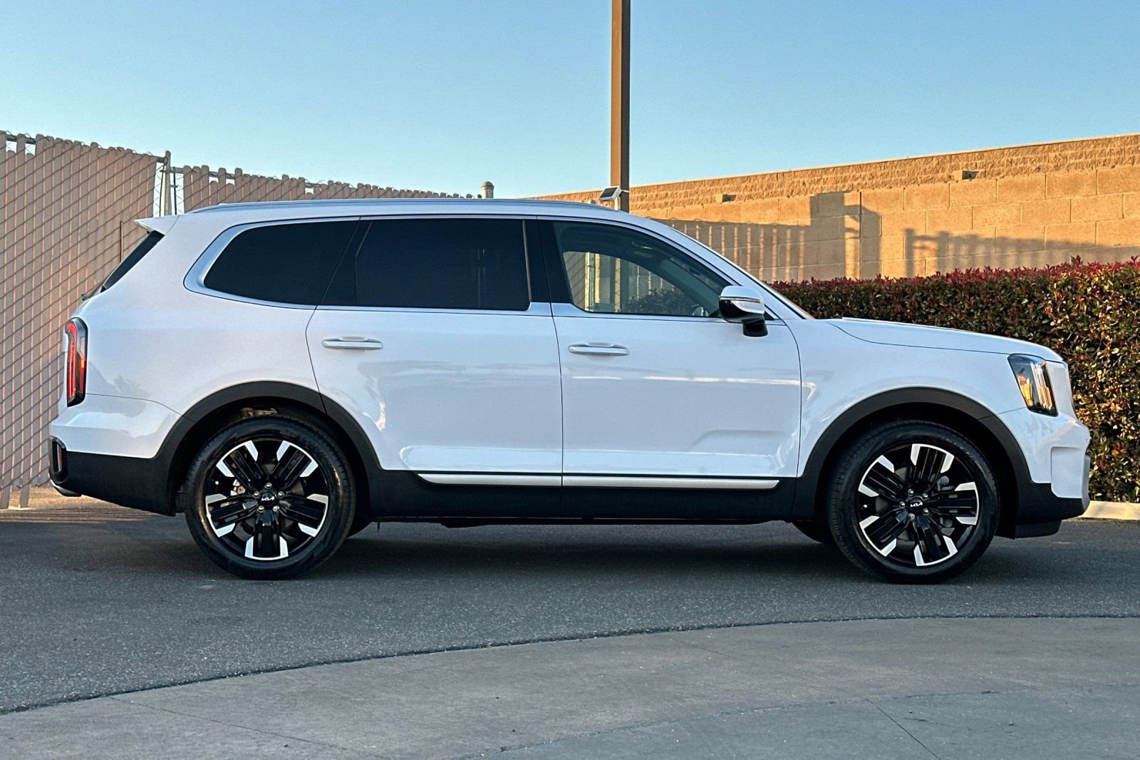 Used 2025 Kia Telluride SX image 3