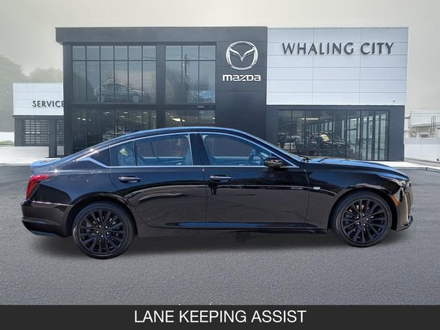 Used 2022 Cadillac CT5 Premium Luxury AWD/4WD image 7