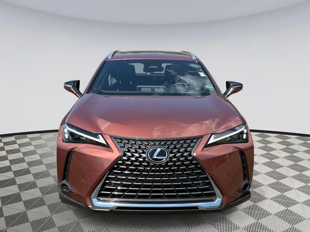 Used 2025 Lexus UX 300h AWD image 6