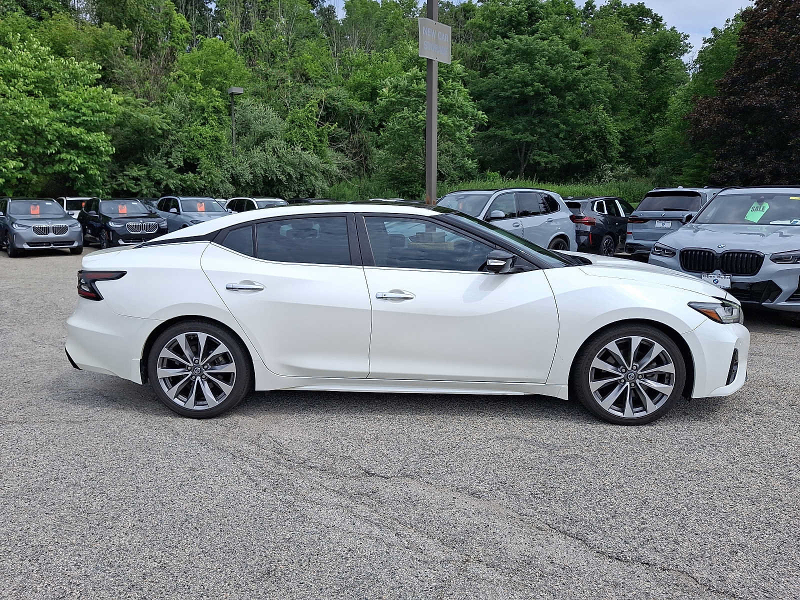 Used 2021 Nissan Maxima Platinum w/ Sport Mat Group FWD image 7
