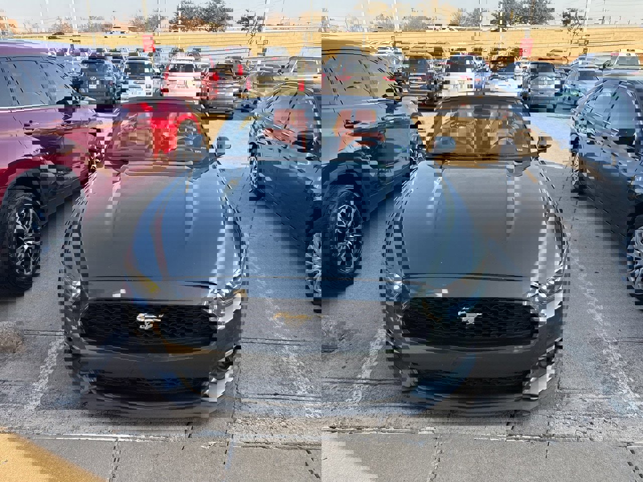 Used 2016 Ford Mustang Premium image 2