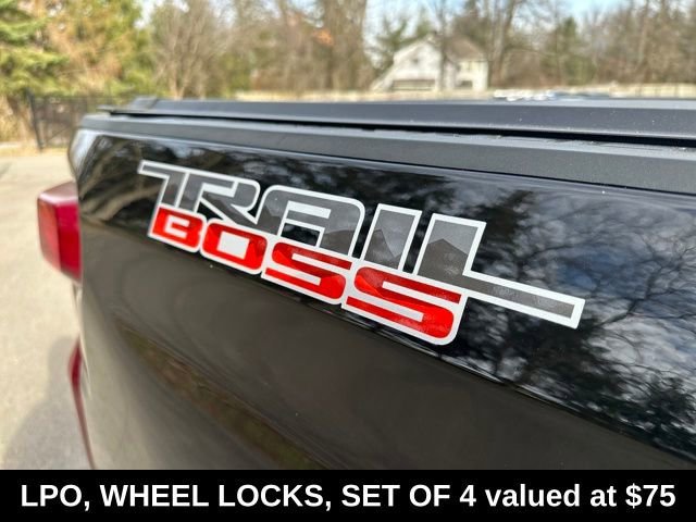 Used 2019 Chevrolet Silverado 1500 Custom Trail Boss image 12