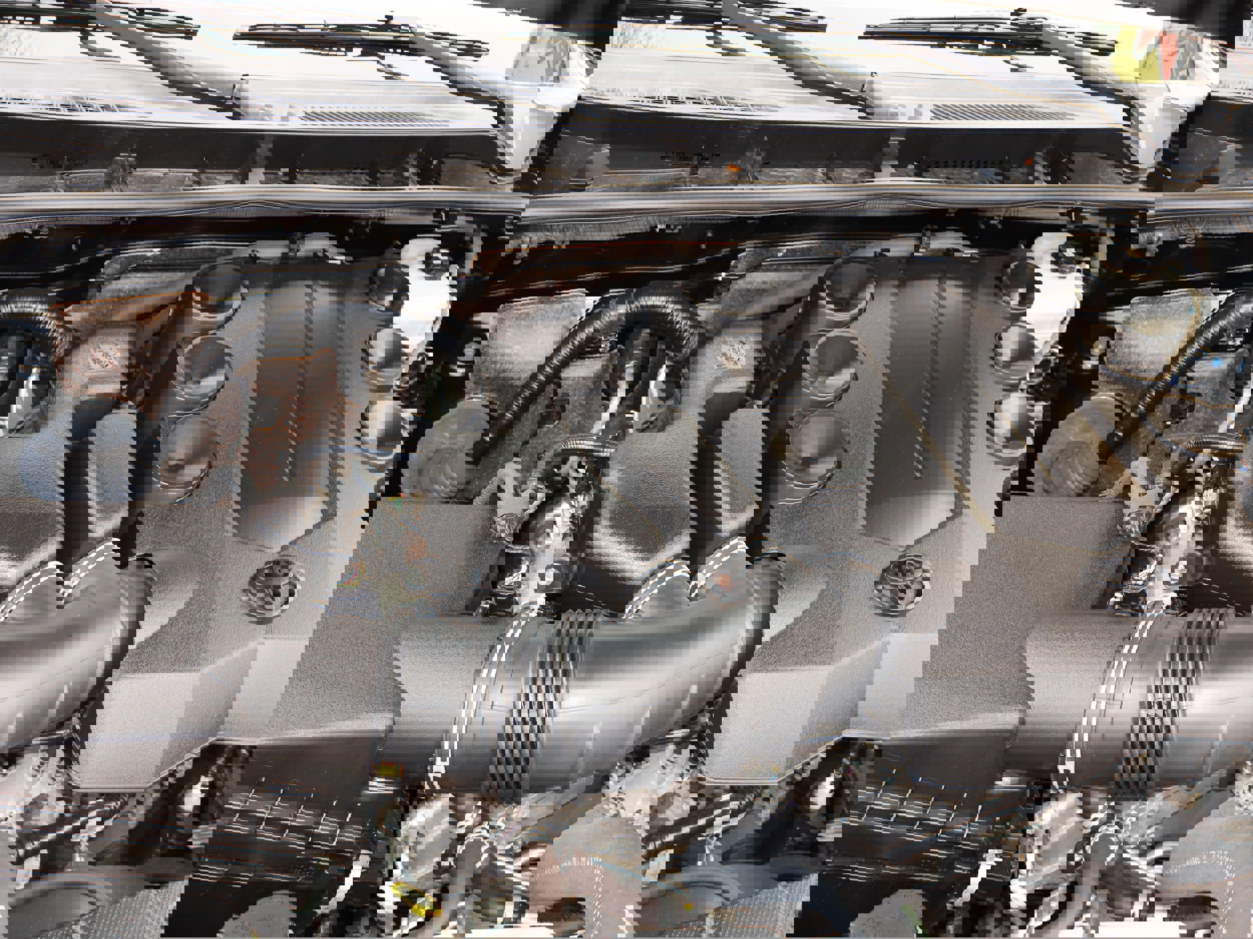 Used 2019 Toyota 4Runner Limited image 25