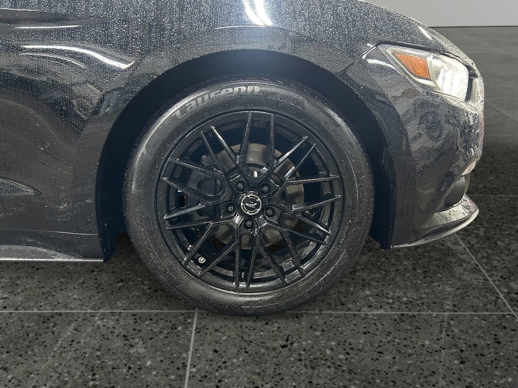 Used 2015 Ford Mustang Premium w/ Equipment Group 201A RWD image 9