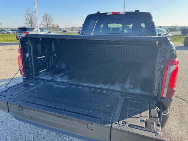Used 2025 Ford F150 Platinum w/ Equipment Group 702A High image 9