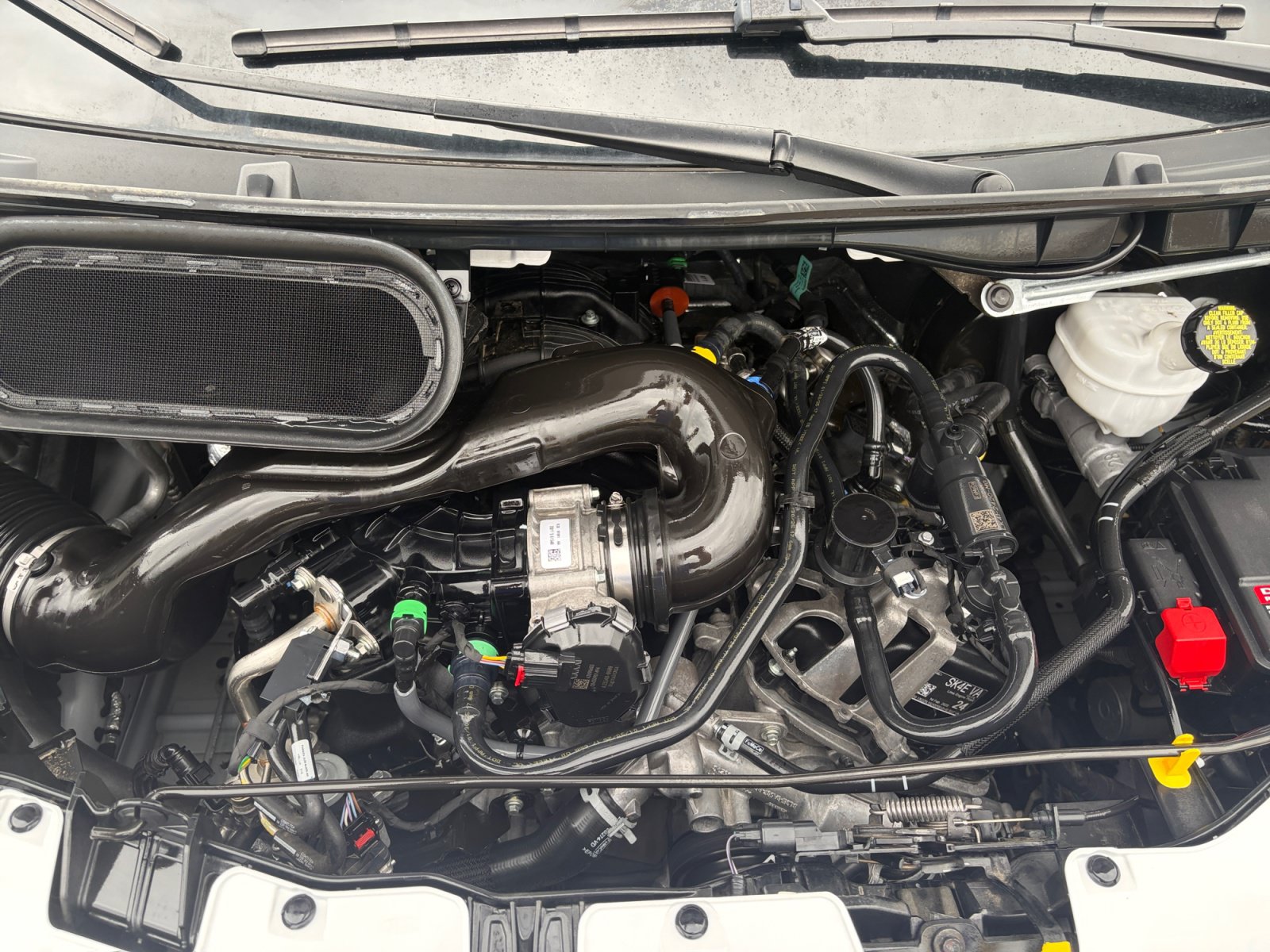 Used 2025 Ford Transit 250 Low Roof w/ Exterior Upgrade Package RWD image 29