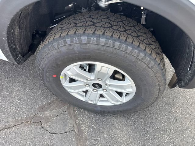 New 2026 Ford Ranger XL image 12