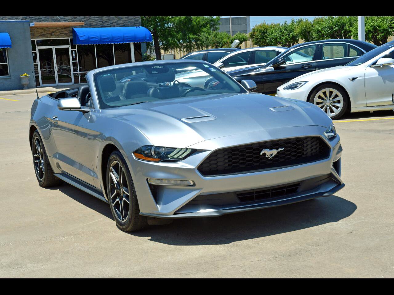 Used 2022 Ford Mustang Premium image 1