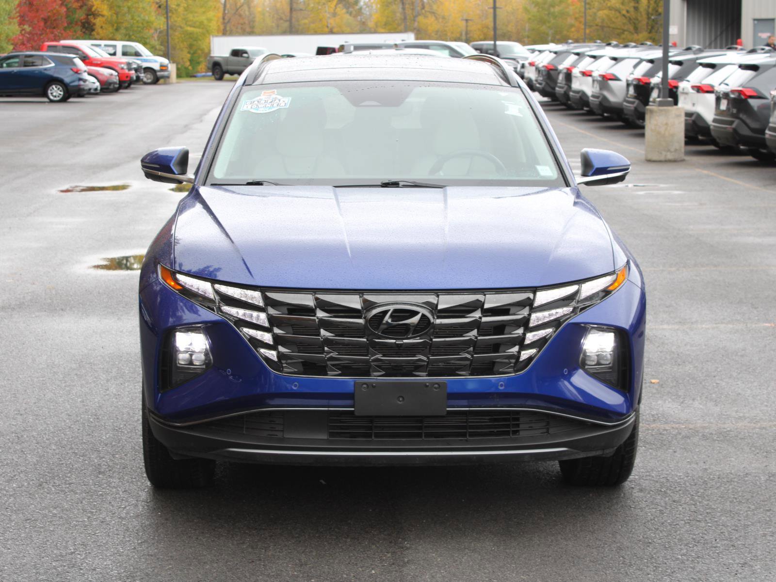 Used 2024 Hyundai Tucson Limited image 2