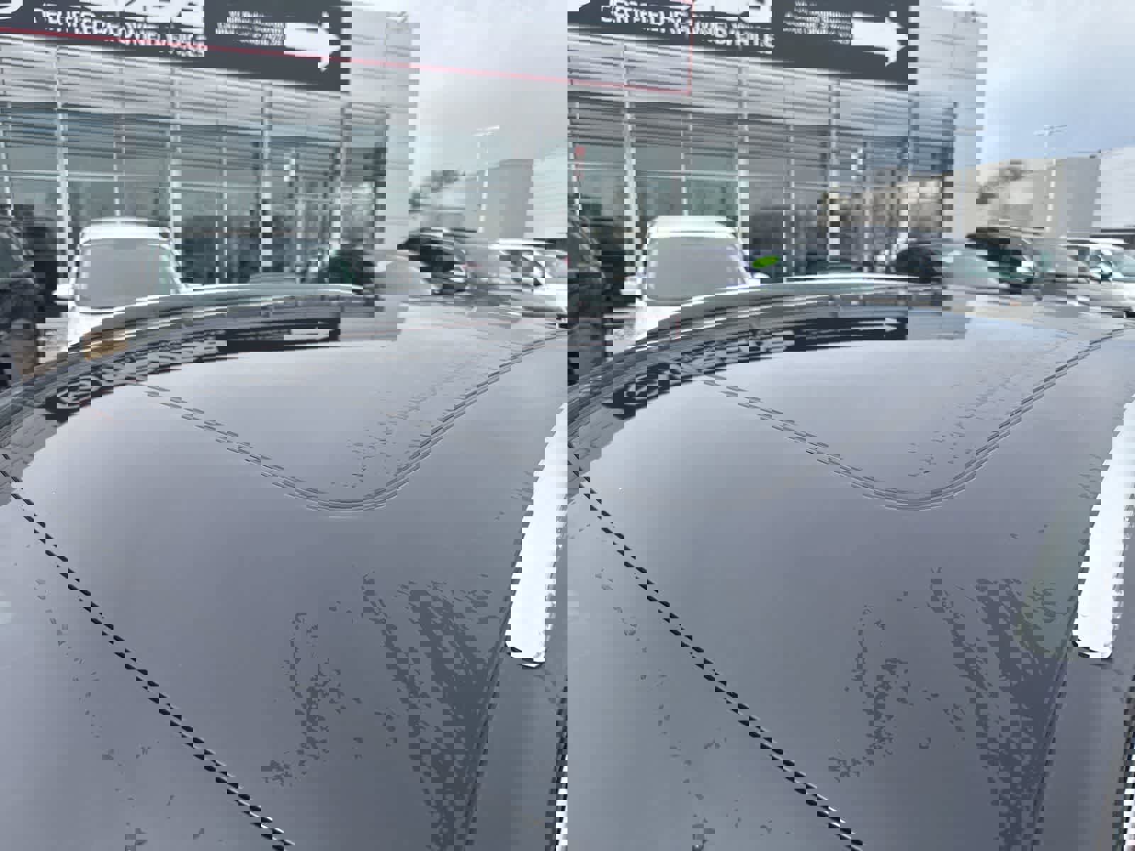 Used 2016 Audi Q5 3.0T Premium Plus image 13