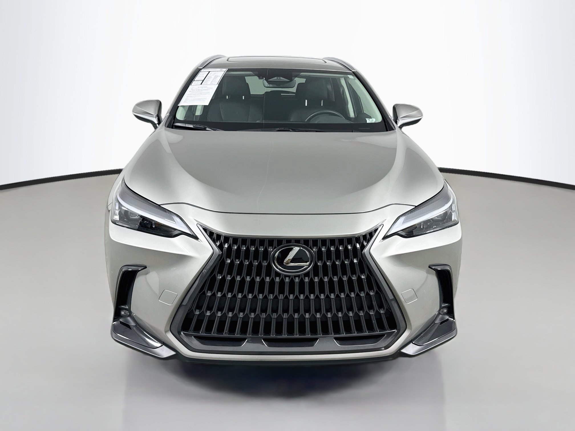 Certified 2024 Lexus NX 350h AWD w/ Cold Area Package image 2
