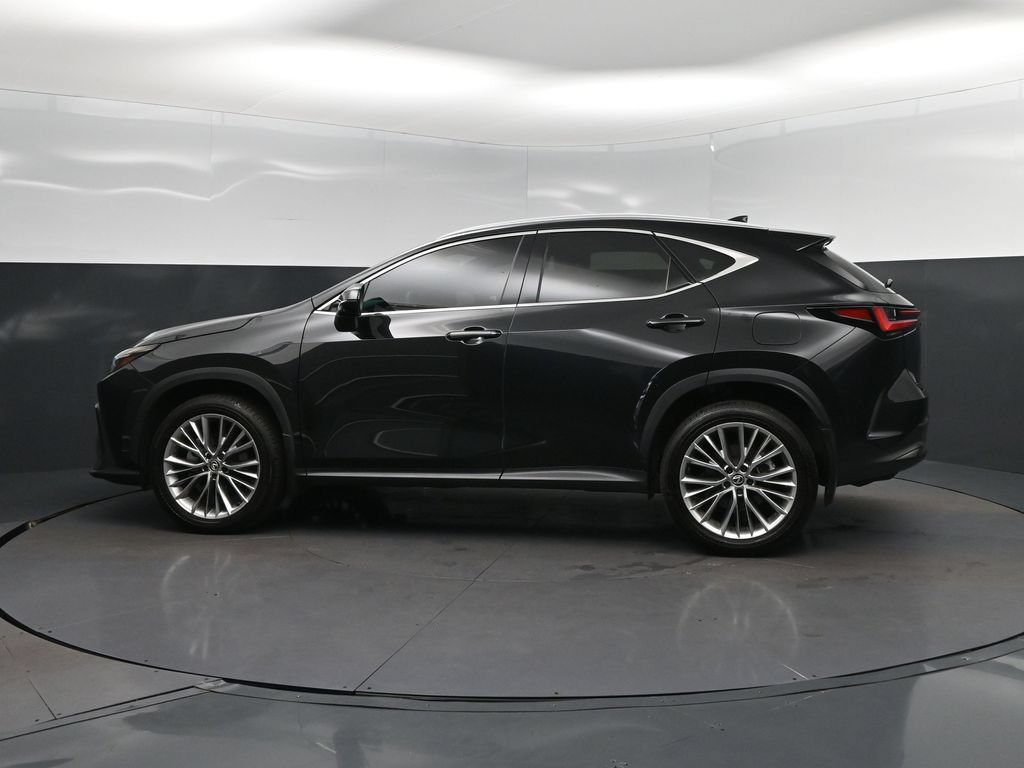 Certified 2025 Lexus NX 350 AWD w/ Premium Package image 4