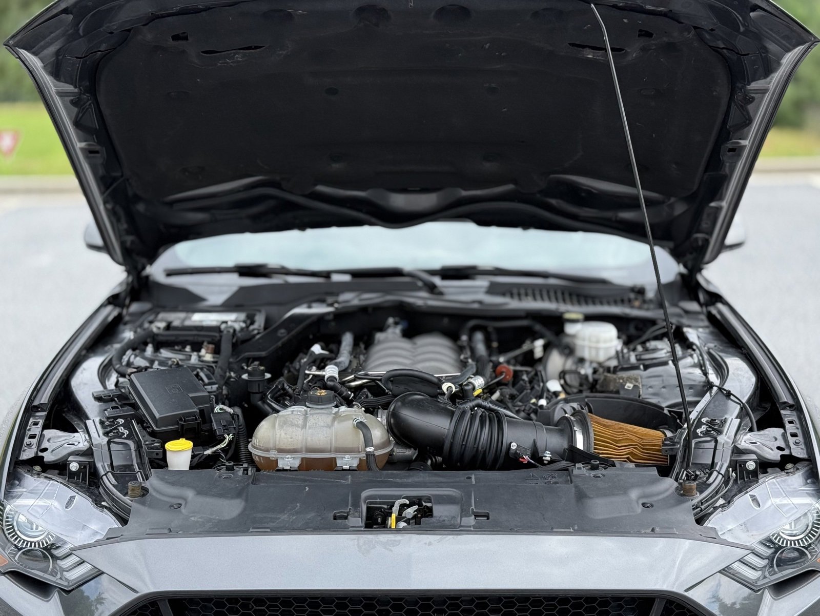 Used 2019 Ford Mustang GT image 45