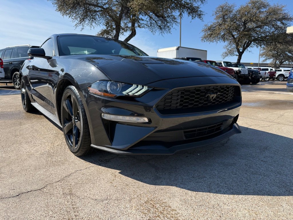 Used 2023 Ford Mustang Premium w/ Mustang Nite Pony Package image 1