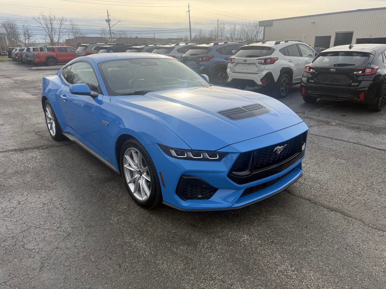Used 2024 Ford Mustang GT Premium image 4