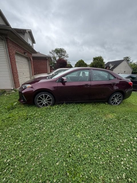 Used 2017 Toyota Corolla SE 50th Anniversary FWD image 2