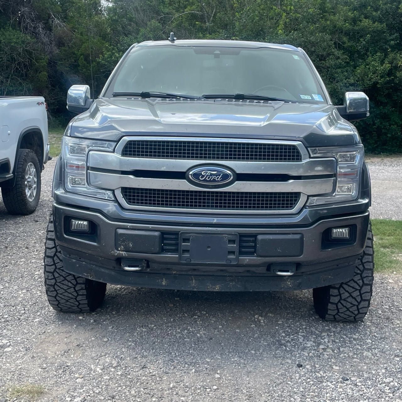 Used 2020 Ford F150 Platinum w/ Equipment Group 701A Luxury AWD/4WD image 2