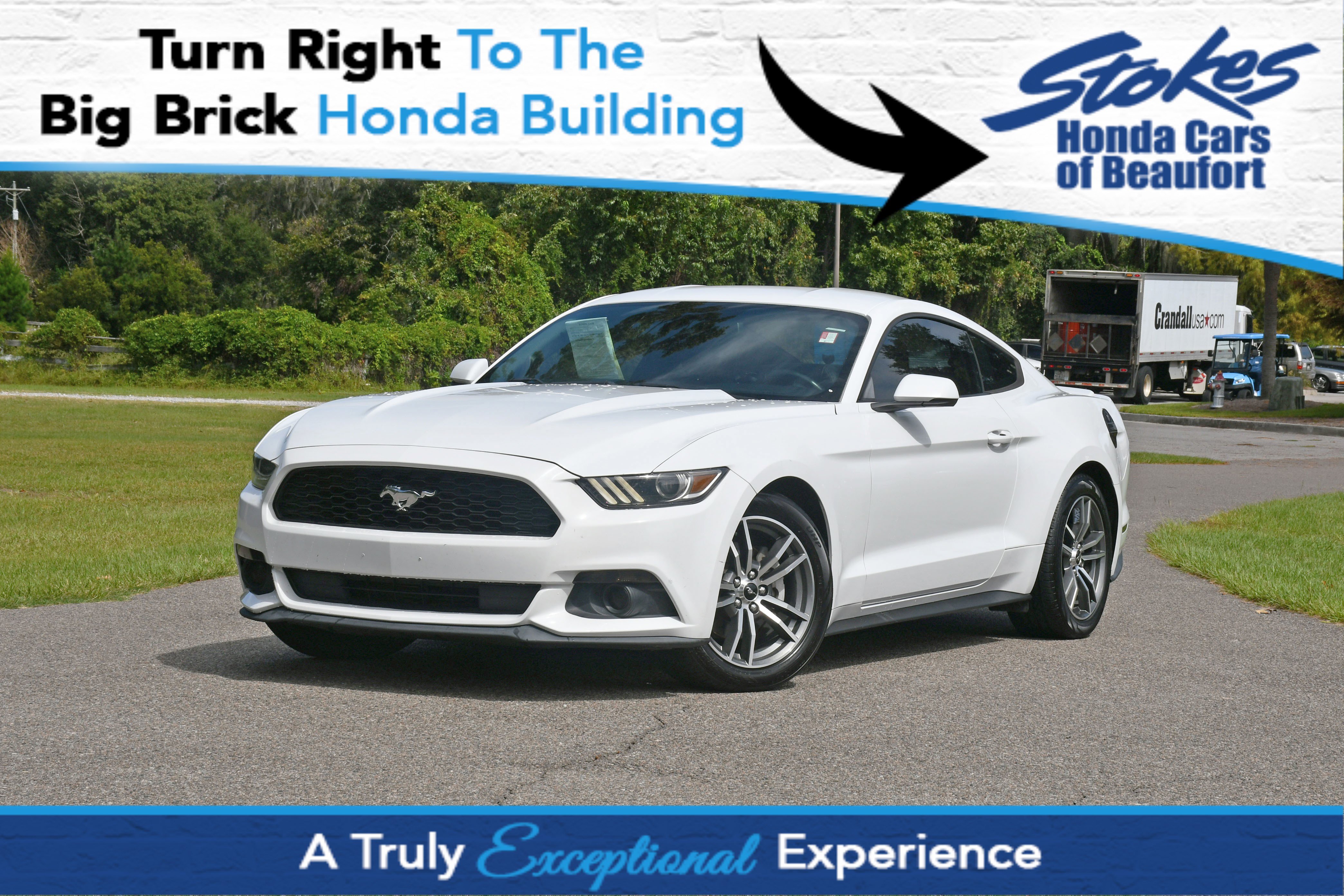 Used 2015 Ford Mustang Premium w/ Equipment Group 201A