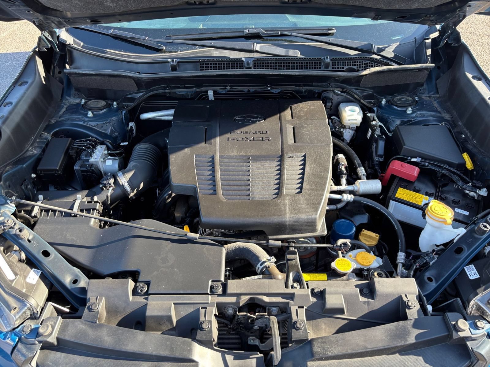 Used 2024 Subaru Forester Wilderness AWD/4WD image 34