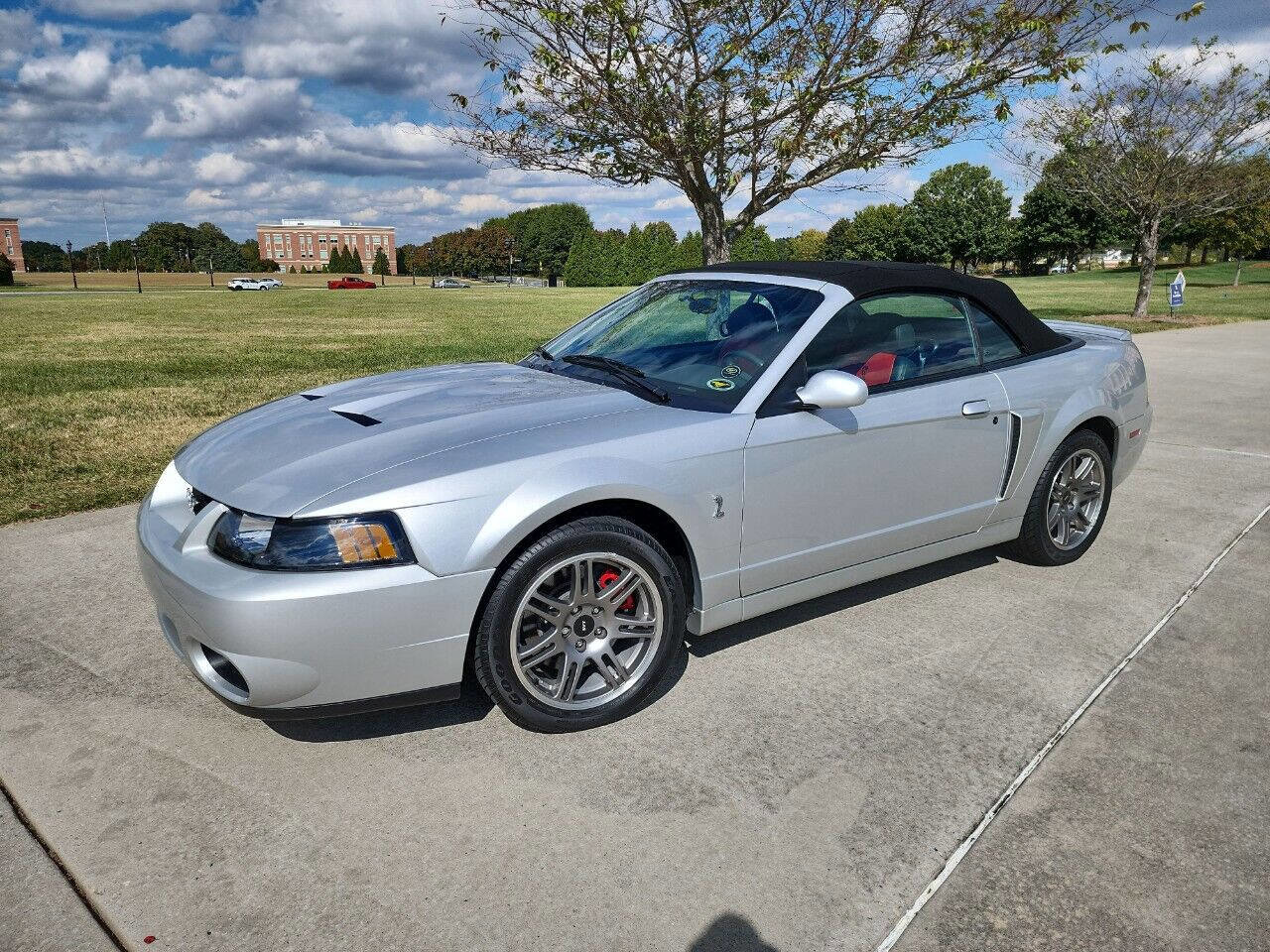 Used 2003 Ford Mustang Cobra image 3