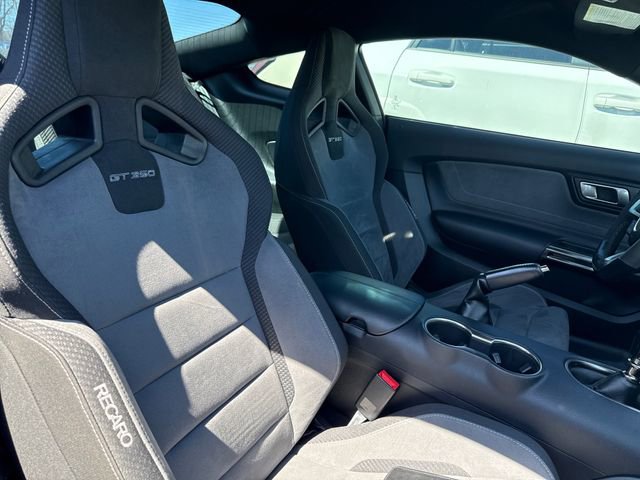 Used 2019 Ford Mustang Shelby GT350 w/ Technology Package image 13