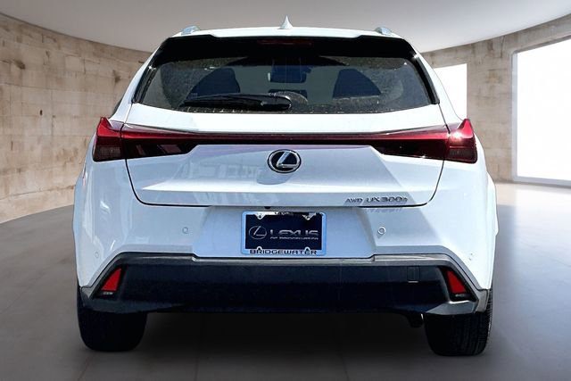New 2026 Lexus UX 300h AWD image 4