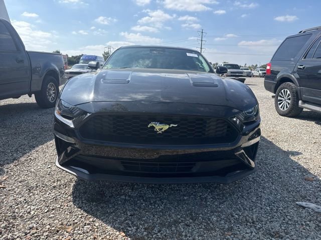 Used 2022 Ford Mustang Coupe w/ Equipment Group 101A RWD image 5