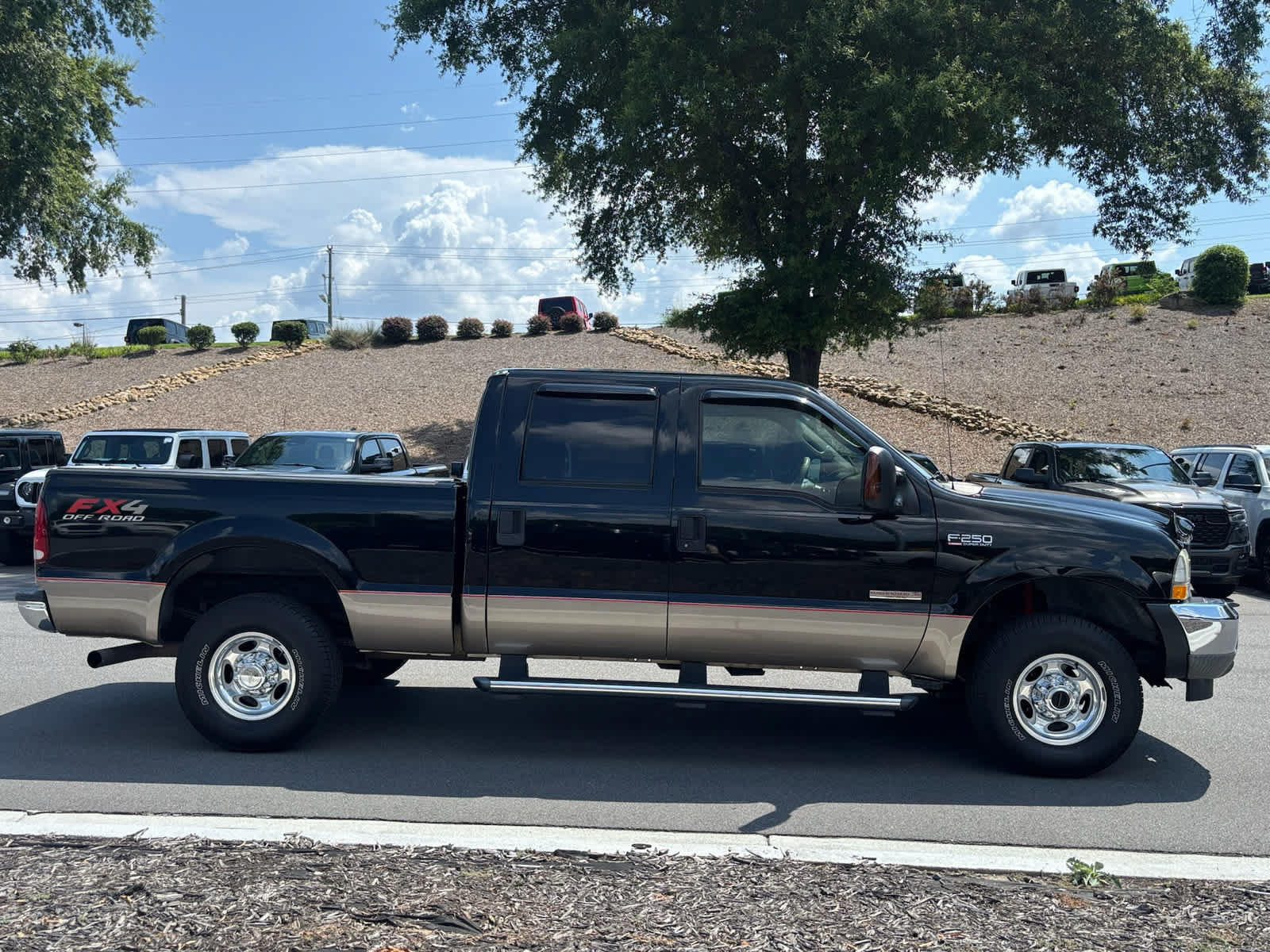Used 2004 Ford F250 Lariat AWD/4WD image 2