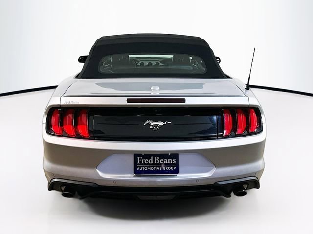 Used 2019 Ford Mustang Premium image 18