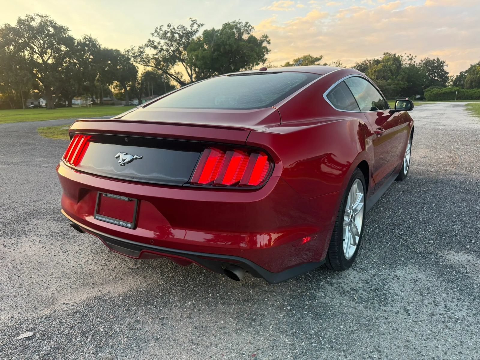Used 2016 Ford Mustang Premium w/ Equipment Group 201A RWD image 5