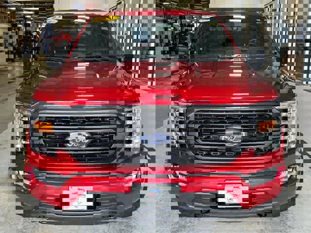 Used 2022 Ford F150 XLT w/ Equipment Group 302A High image 2