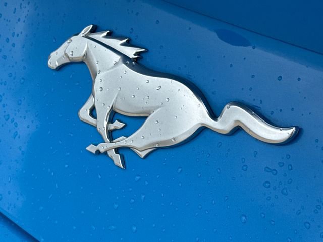 Used 2024 Ford Mustang Premium image 10