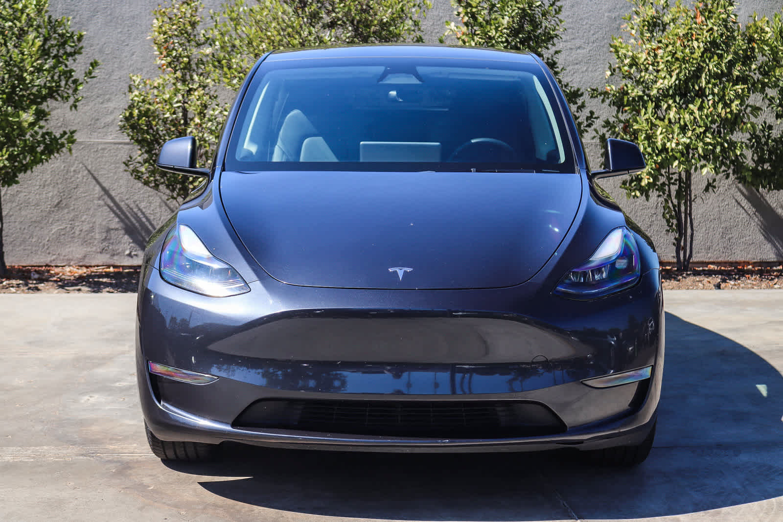 Used 2025 Tesla Model Y Long Range RWD image 2