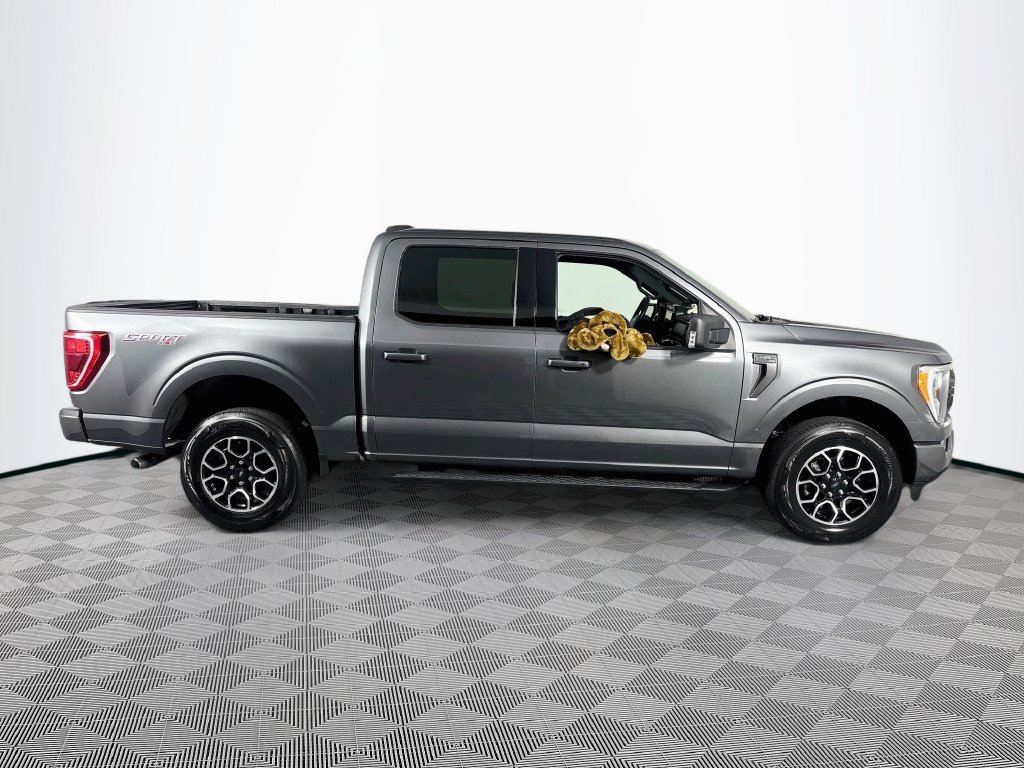 Used 2023 Ford F150 XLT w/ Equipment Group 302A High AWD/4WD image 8