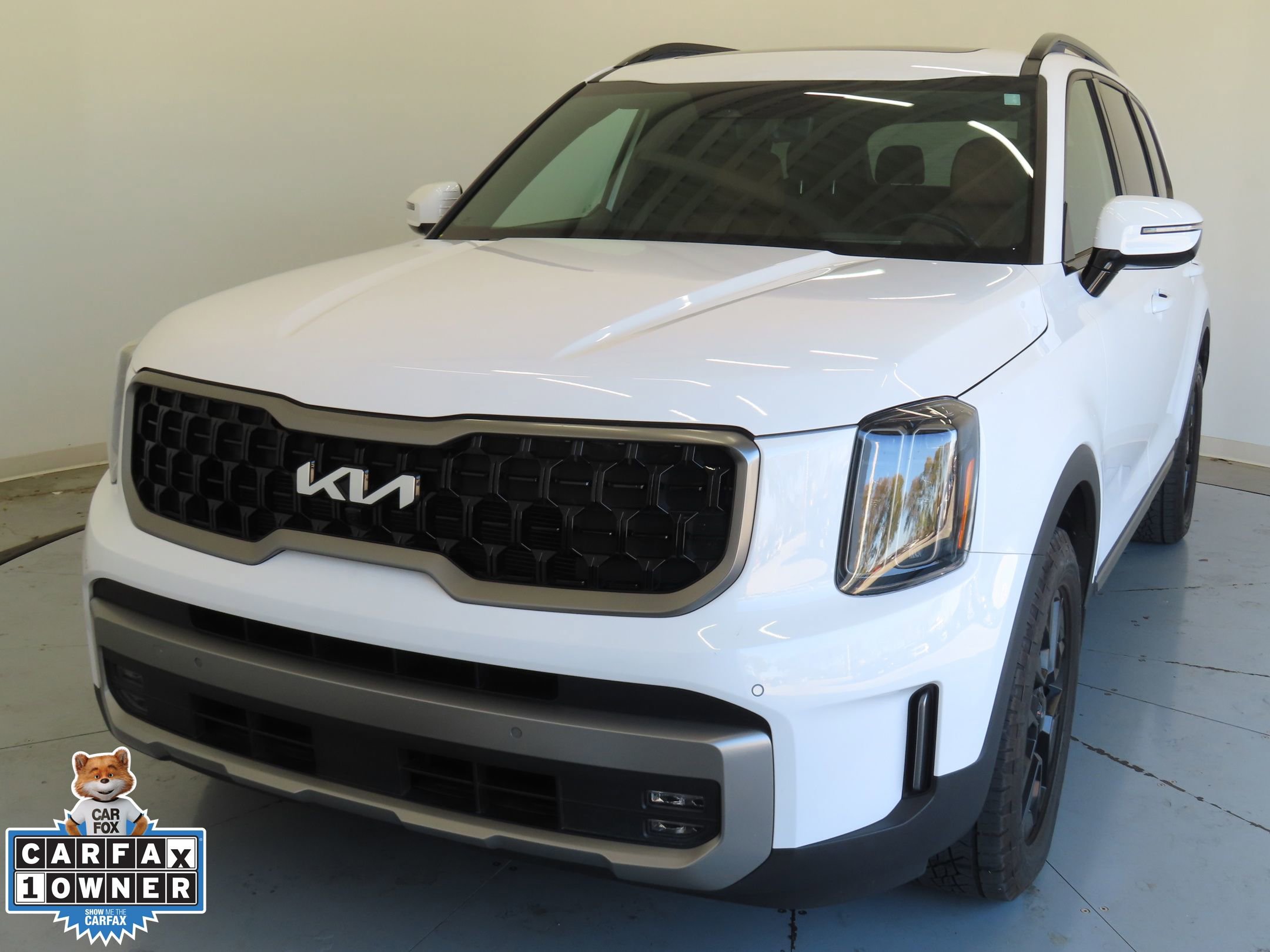 Used 2023 Kia Telluride SX Prestige X-Pro image 10