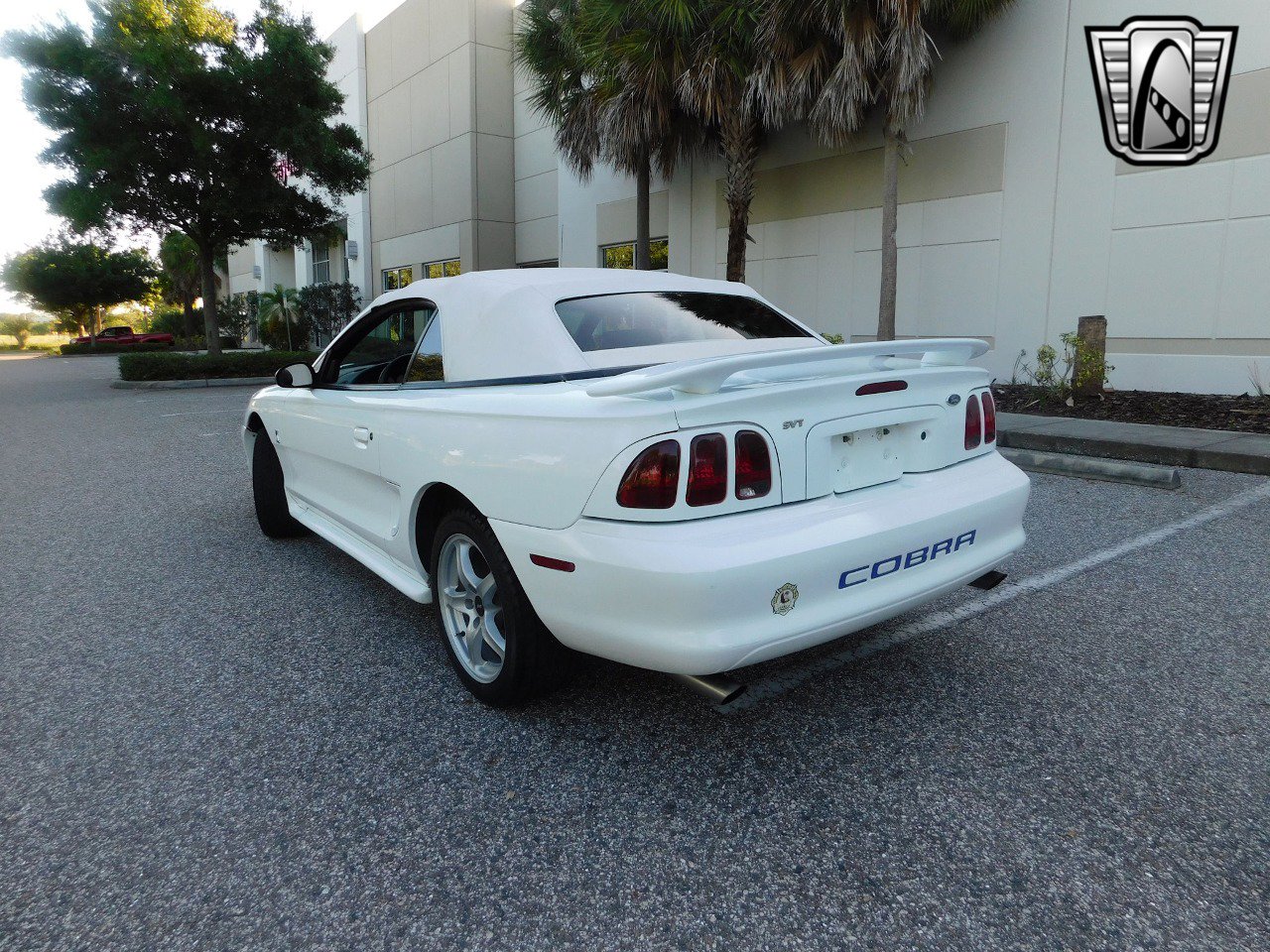 Used 1997 Ford Mustang Cobra image 8