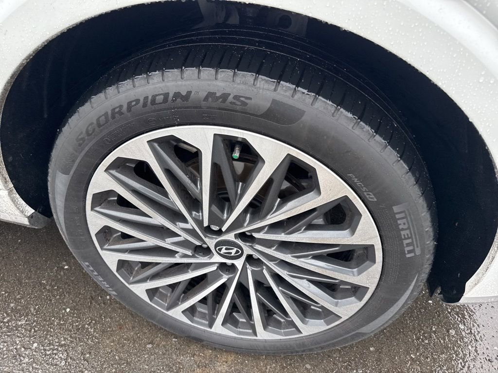 Used 2026 Hyundai Palisade Calligraphy image 4