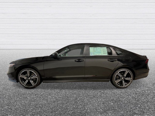 New 2026 Honda Accord Sport image 3