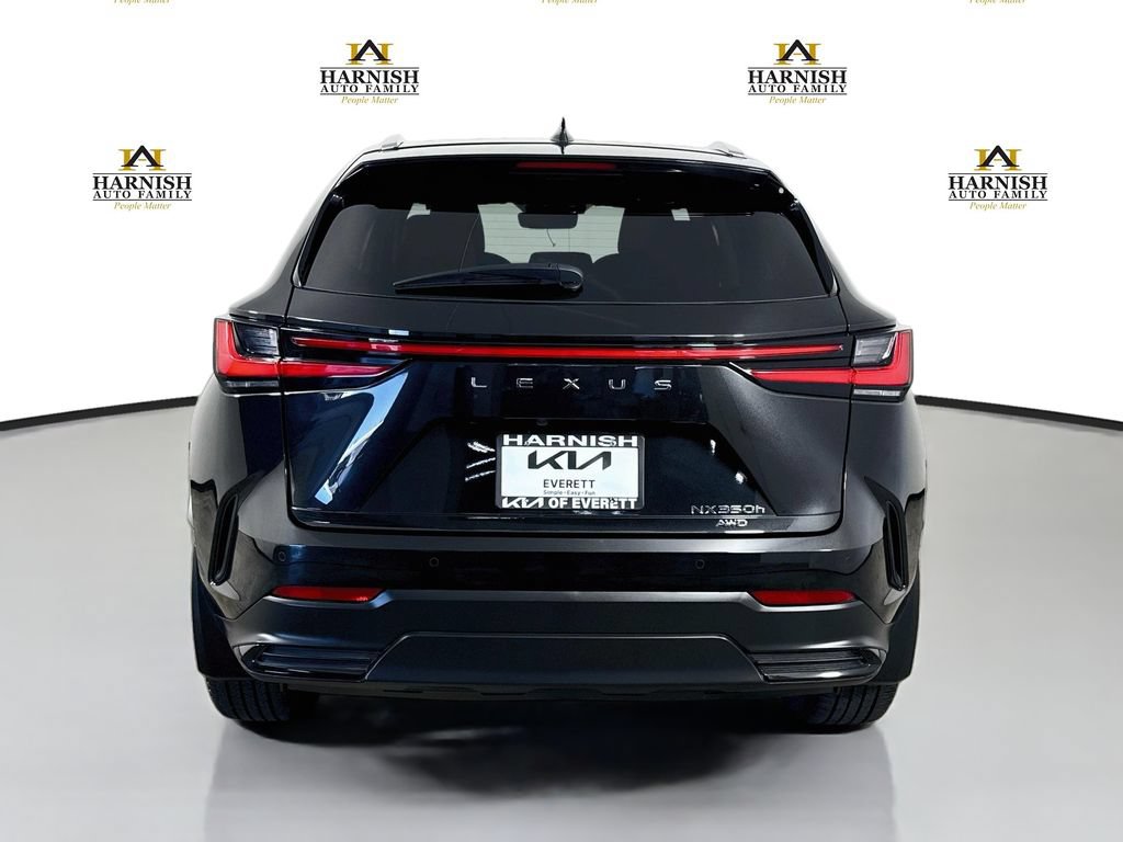 Used 2024 Lexus NX 350h AWD w/ Vision Package image 6